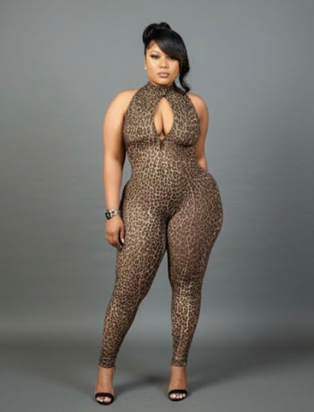Badd Kitty Jumpsuit – Leopard Print Mesh Bodycon Jumpsuit with Plunge Keyhole Neckline